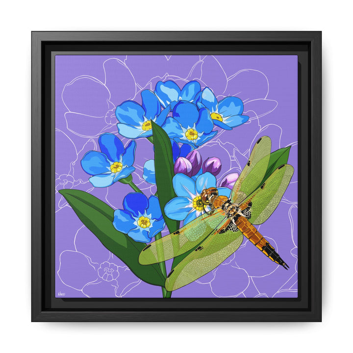 Alaska State Flower + Insect: Forget Me Not + Four-spot Skimmer Dragonfly — Framed Canvas Print Wall Art