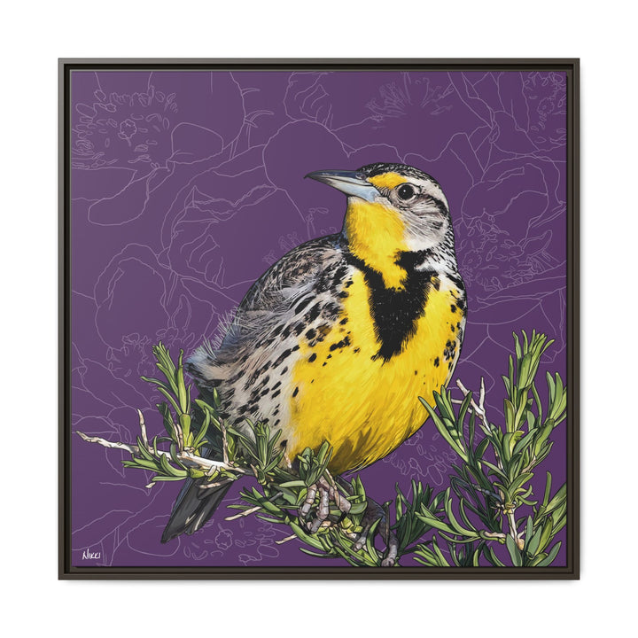Western Meadowlark: North Dakota State Bird — Framed Canvas Print