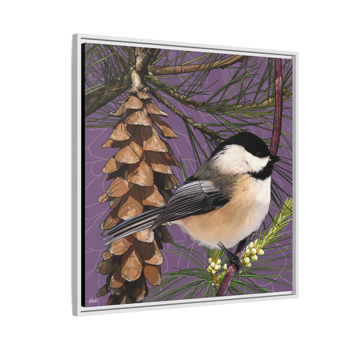 Black-capped Chickadee: Maine State Bird — Framed Canvas Print