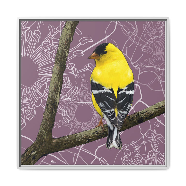 Goldfinch: Washington State Bird — Framed Canvas Print Wall Art
