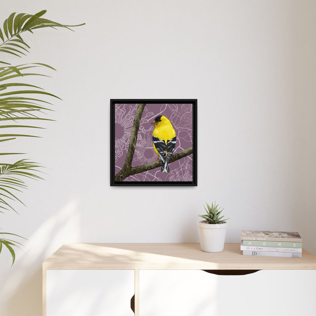 Goldfinch: Washington State Bird — Framed Canvas Print Wall Art