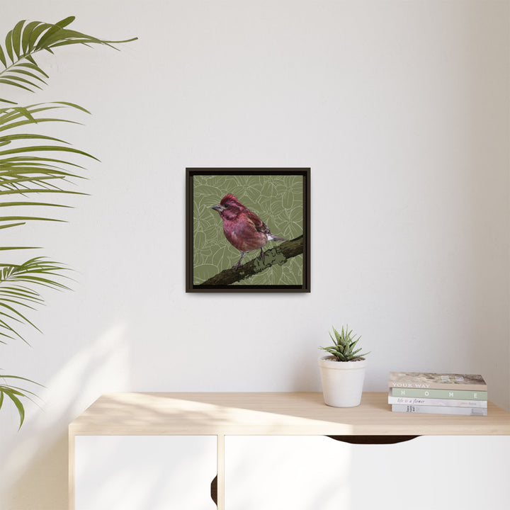 Purple Finch: New Hampshire State Bird — Framed Canvas Print Wall Art