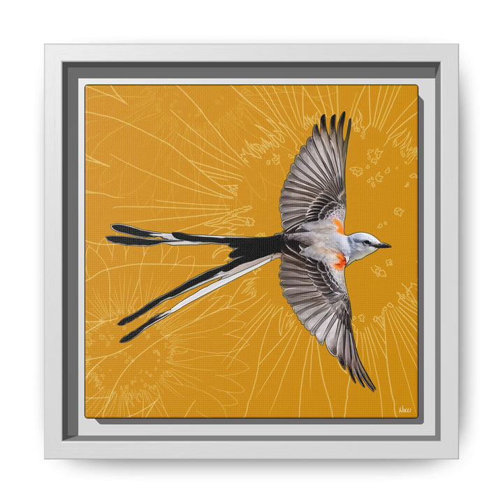 Scissor Tailed Flycatcher: Oklahoma State Bird — Framed Canvas Print Wall Art