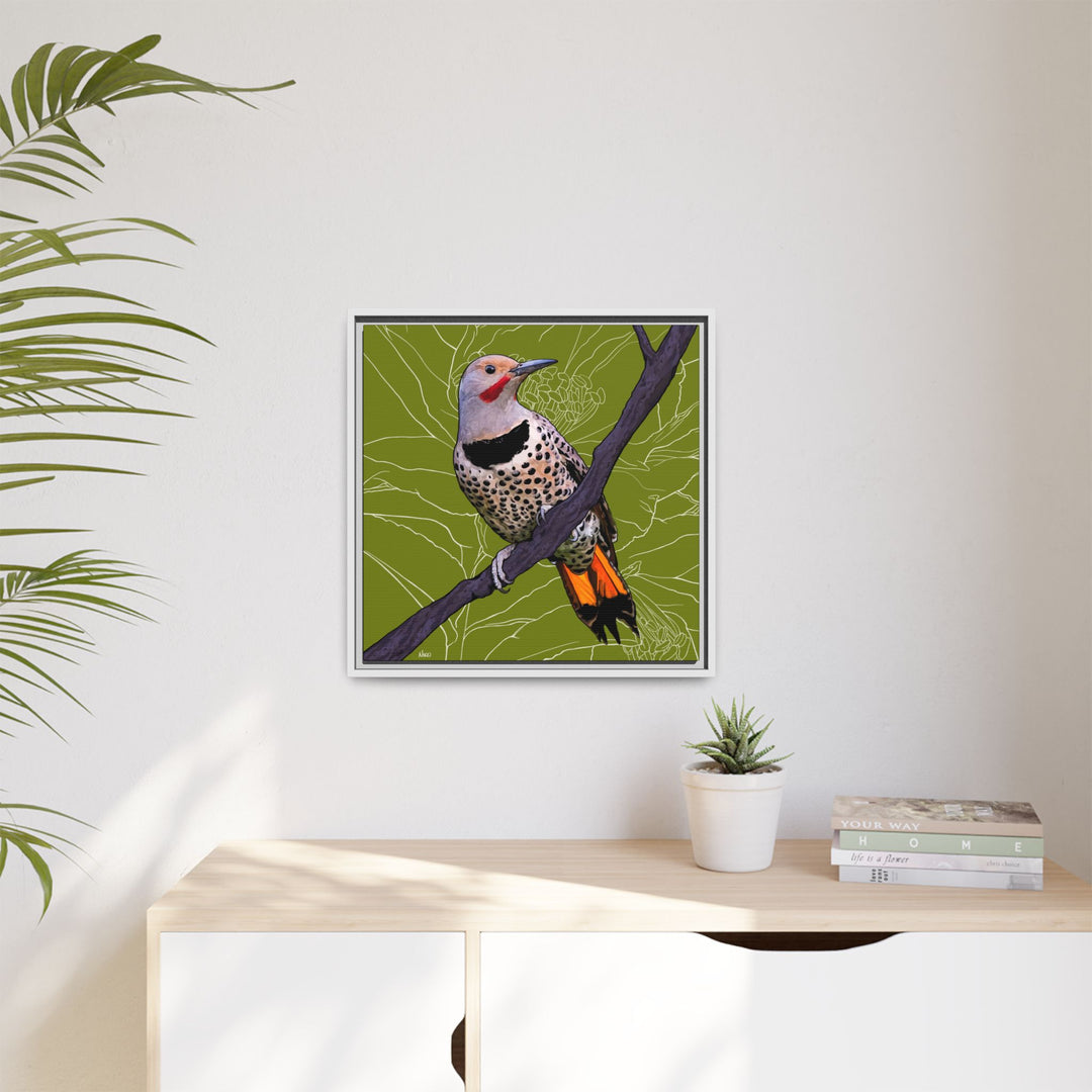 Northern Flicker (Yellowhammer): Alabama State Bird: — Framed Canvas Print Wall Art