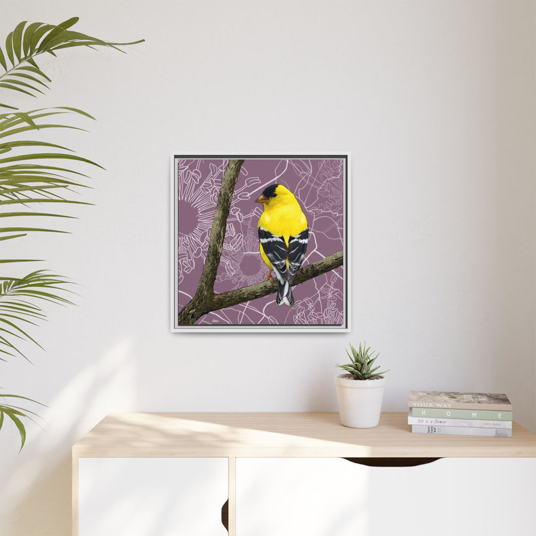 Goldfinch: Washington State Bird — Framed Canvas Print Wall Art
