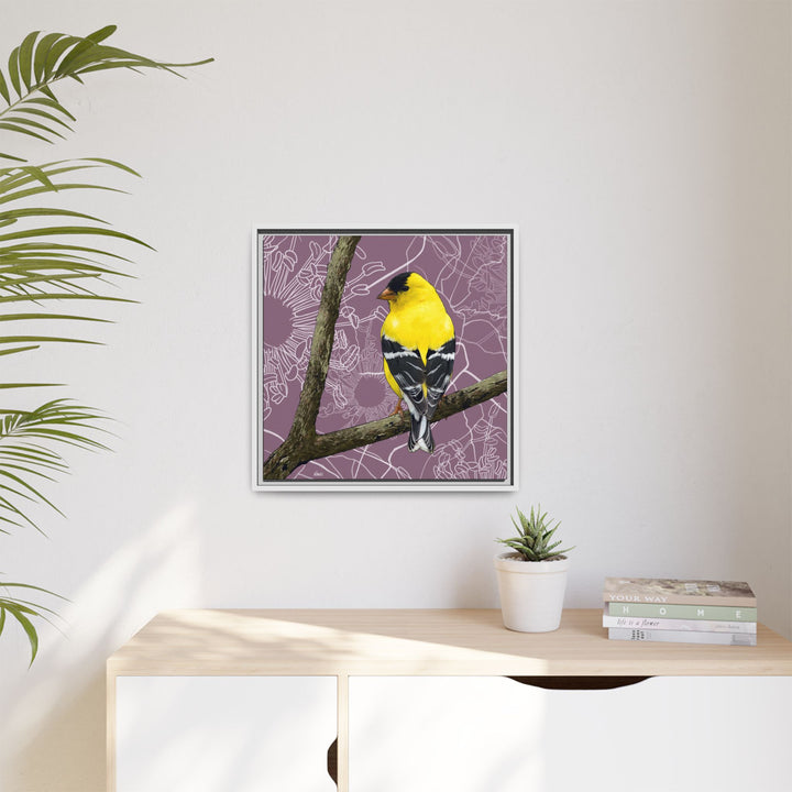 Goldfinch: Washington State Bird — Framed Canvas Print Wall Art