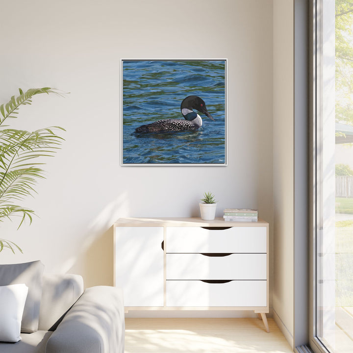 Common Loon: Minnesota State Bird — Framed Canvas Print Wall Art