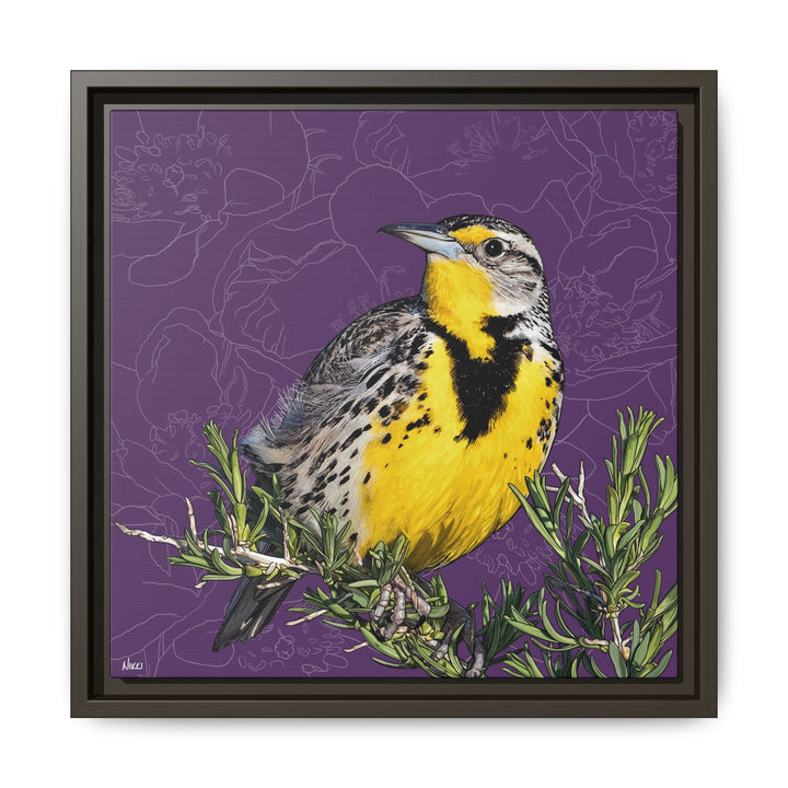 Western Meadowlark: North Dakota State Bird — Framed Canvas Print