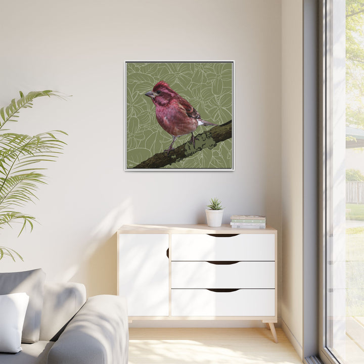 Purple Finch: New Hampshire State Bird — Framed Canvas Print Wall Art
