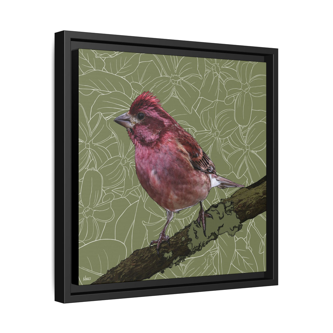 Purple Finch: New Hampshire State Bird — Framed Canvas Print Wall Art