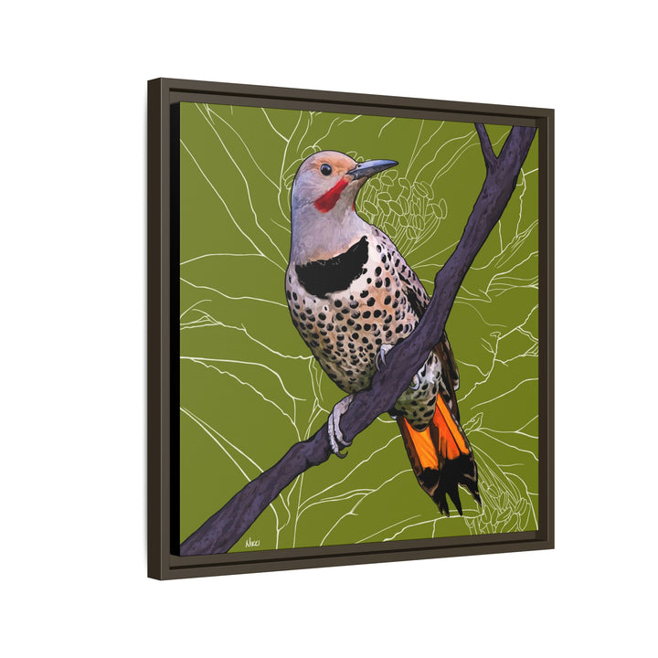 Northern Flicker (Yellowhammer): Alabama State Bird: — Framed Canvas Print Wall Art