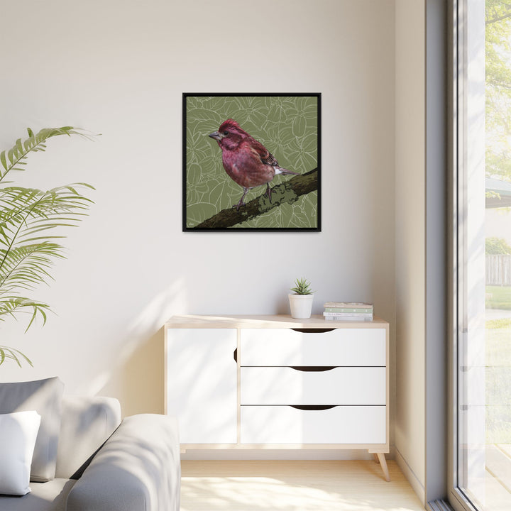 Purple Finch: New Hampshire State Bird — Framed Canvas Print Wall Art
