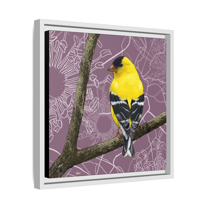 Goldfinch: Washington State Bird — Framed Canvas Print Wall Art