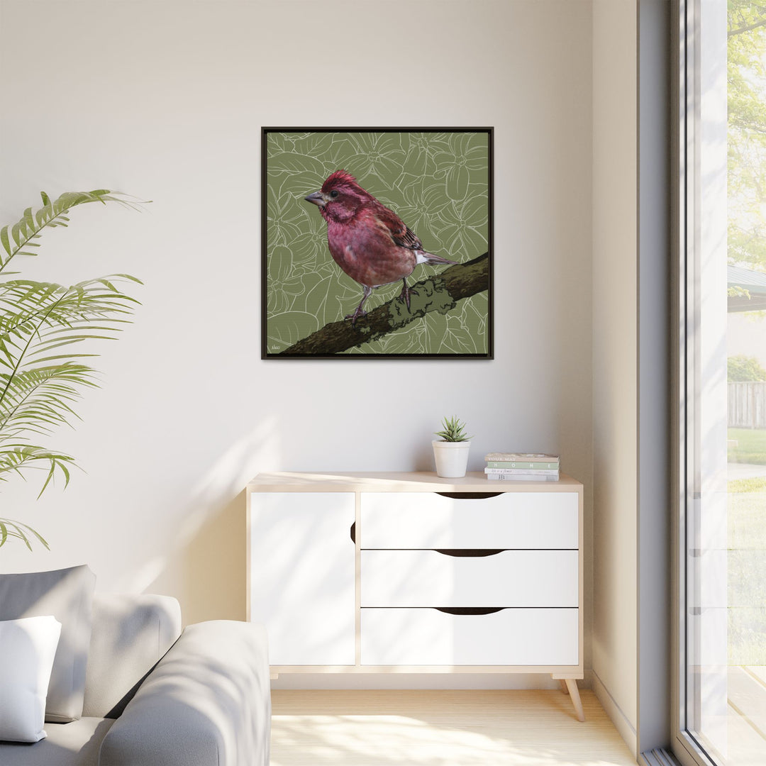 Purple Finch: New Hampshire State Bird — Framed Canvas Print Wall Art