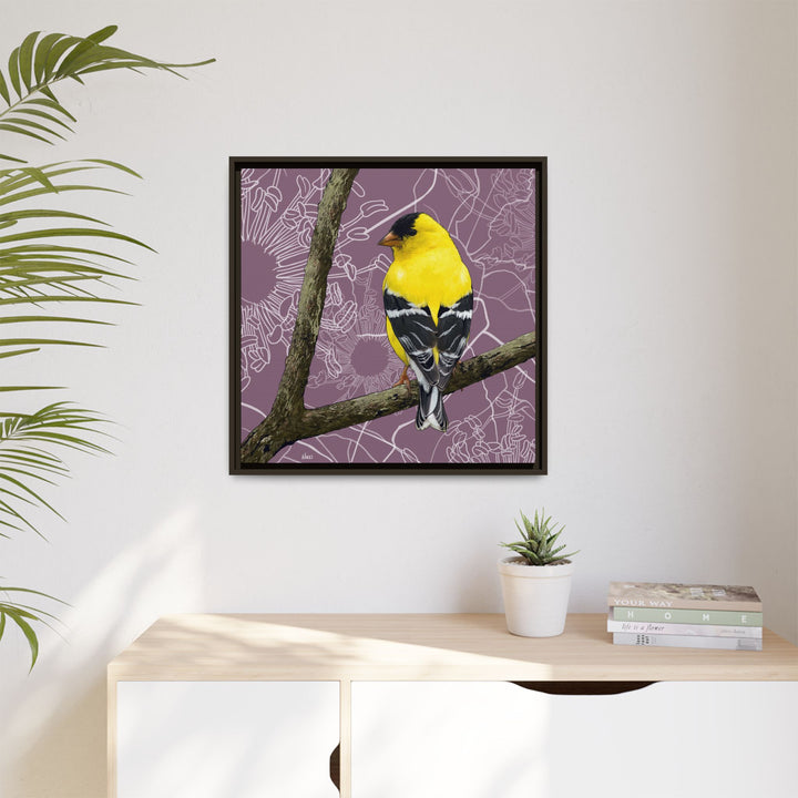 Goldfinch: Washington State Bird — Framed Canvas Print Wall Art