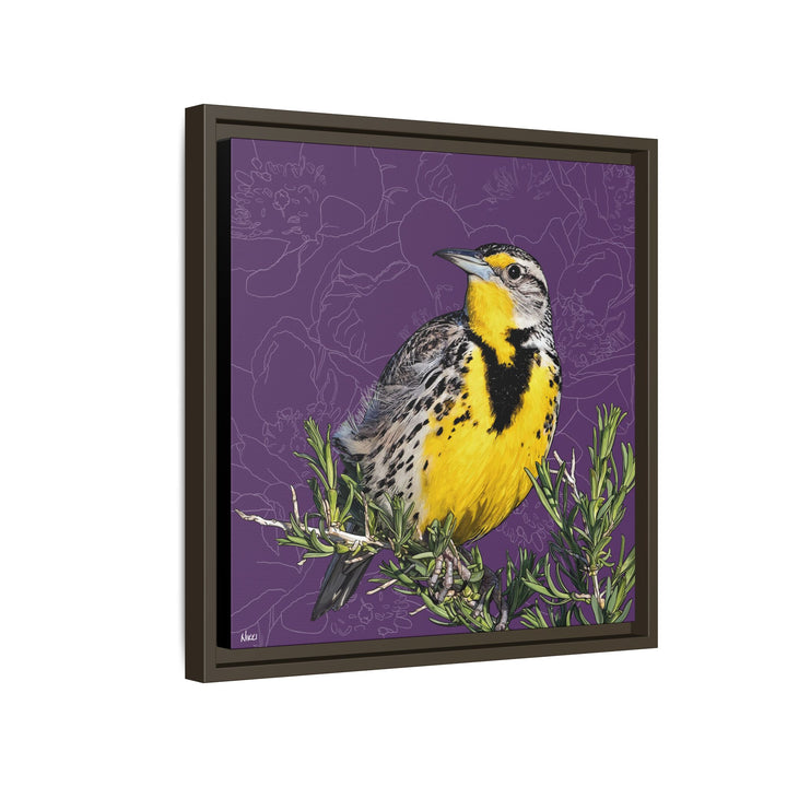 Western Meadowlark: North Dakota State Bird — Framed Canvas Print