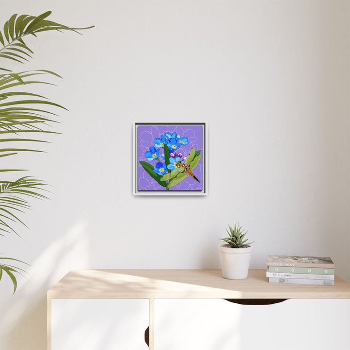 Alaska State Flower + Insect: Forget Me Not + Four-spot Skimmer Dragonfly — Framed Canvas Print Wall Art