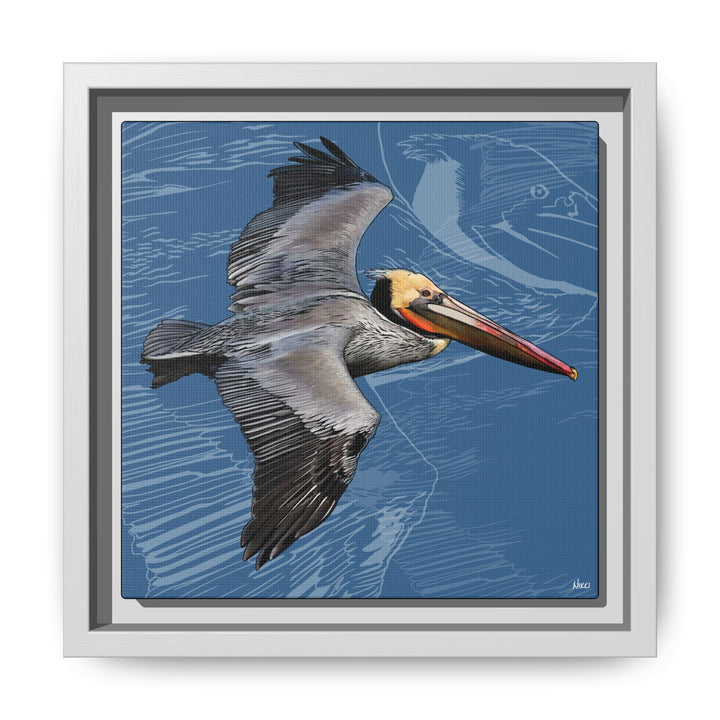 Brown Pelican: Louisiana State Bird  —  Framed Canvas Print