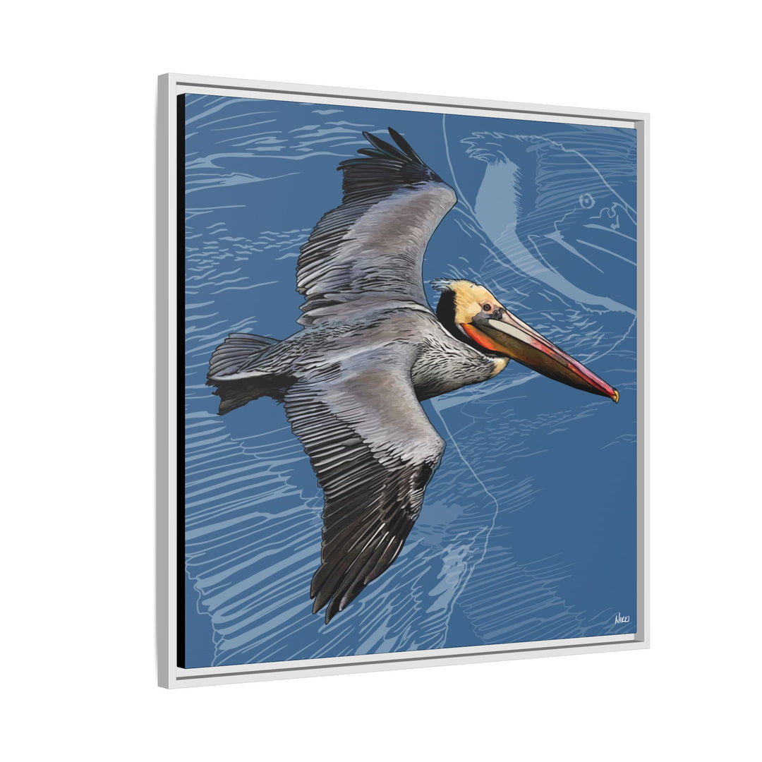 Brown Pelican: Louisiana State Bird  —  Framed Canvas Print