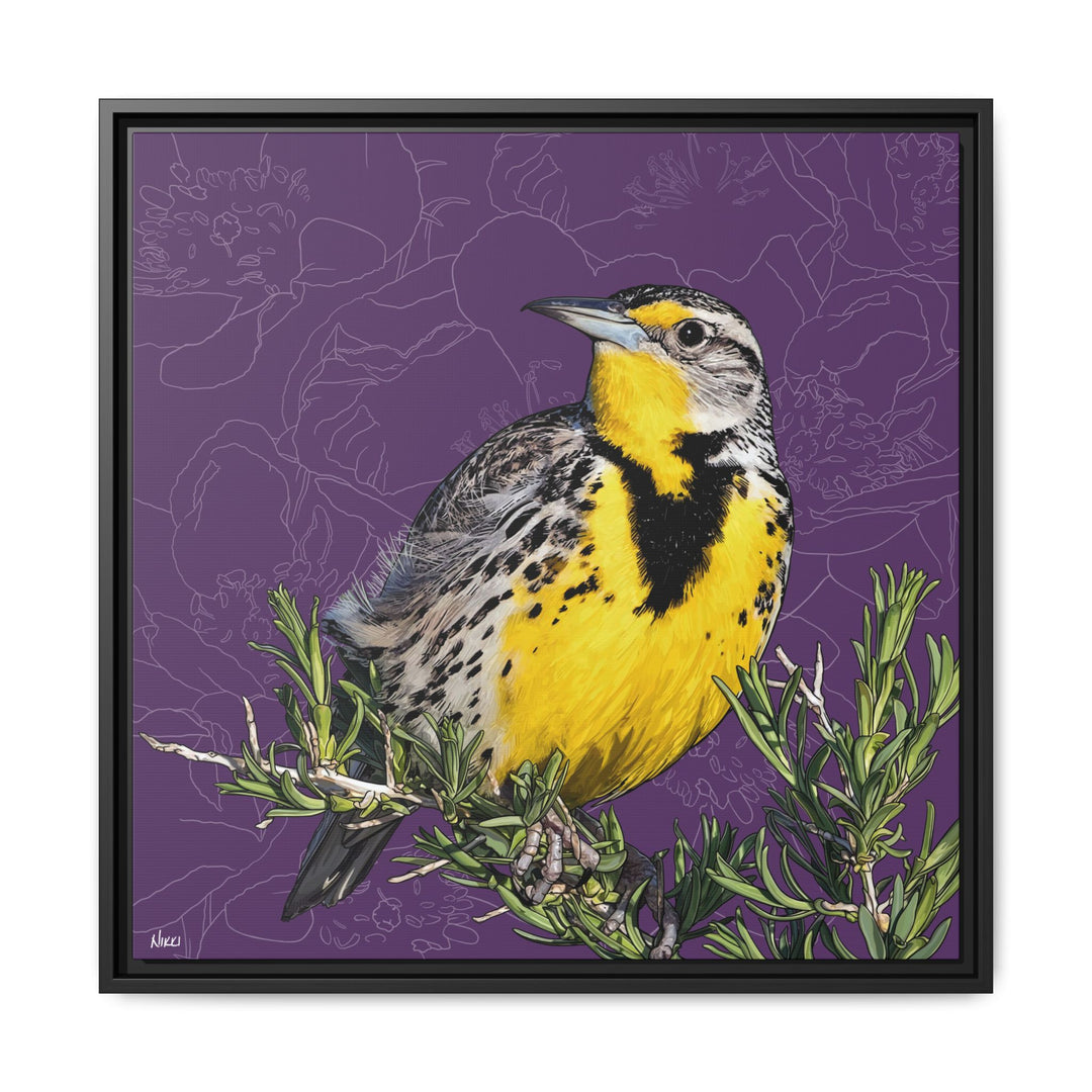 Western Meadowlark: North Dakota State Bird — Framed Canvas Print