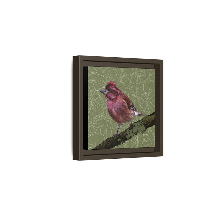 Purple Finch: New Hampshire State Bird — Framed Canvas Print Wall Art