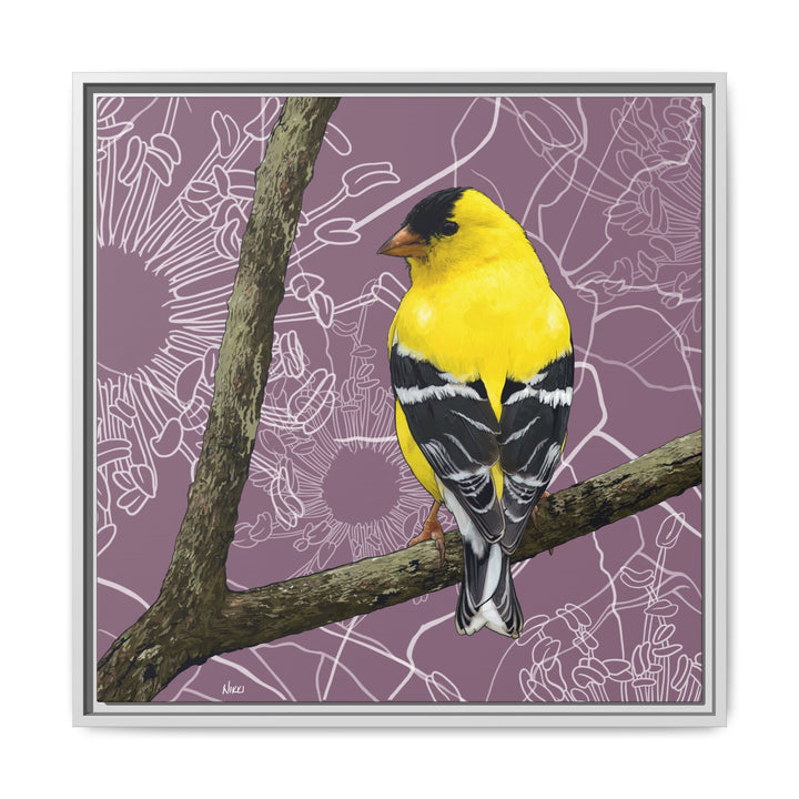 Goldfinch: Washington State Bird — Framed Canvas Print Wall Art