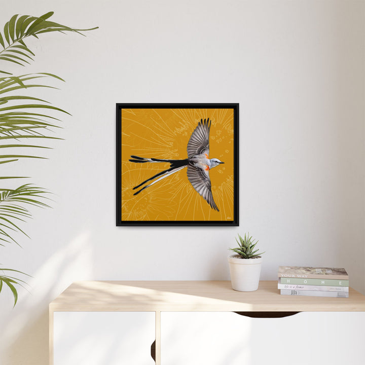 Scissor Tailed Flycatcher: Oklahoma State Bird — Framed Canvas Print Wall Art