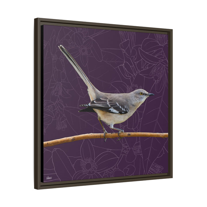 Northern Mockingbird: Florida State Bird — Framed Canvas Print Wall Art