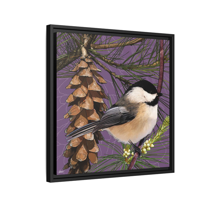 Black-capped Chickadee: Maine State Bird — Framed Canvas Print