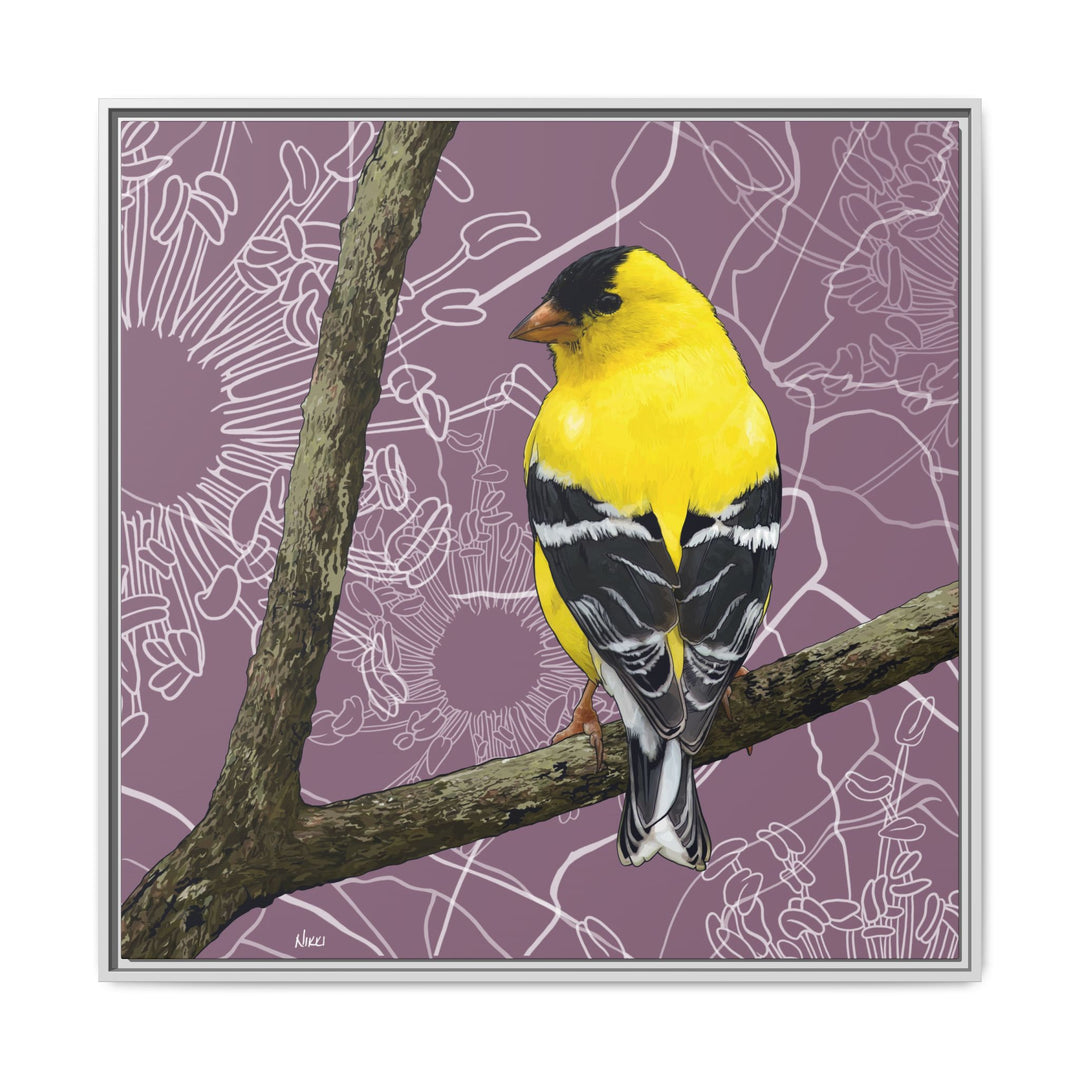 Goldfinch: Washington State Bird — Framed Canvas Print Wall Art
