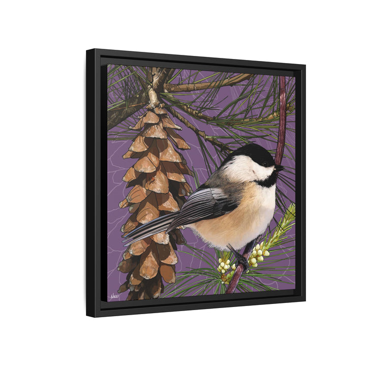 Black-capped Chickadee: Maine State Bird — Framed Canvas Print