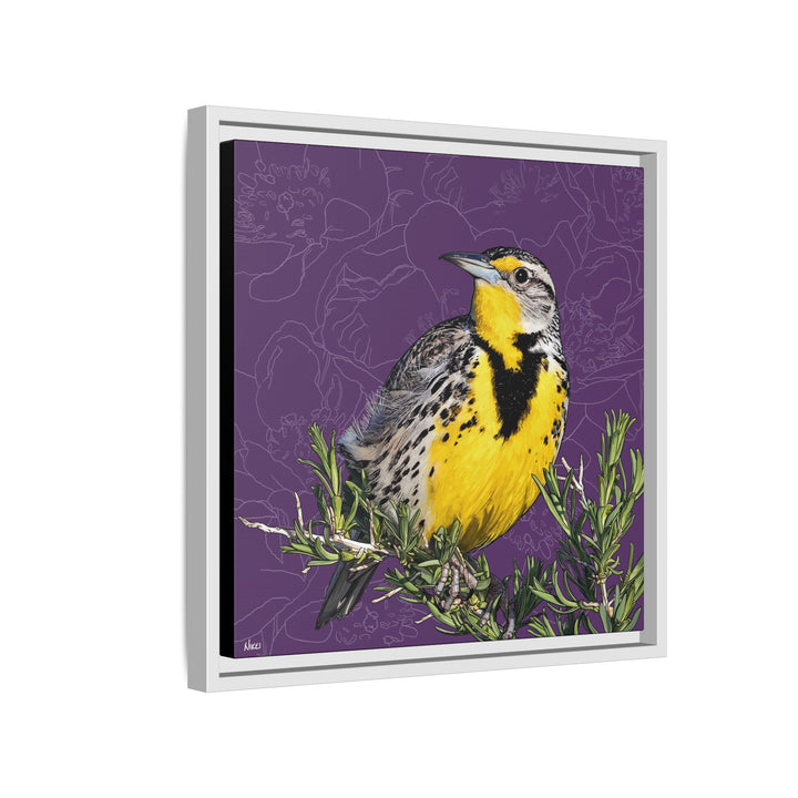 Western Meadowlark: North Dakota State Bird — Framed Canvas Print