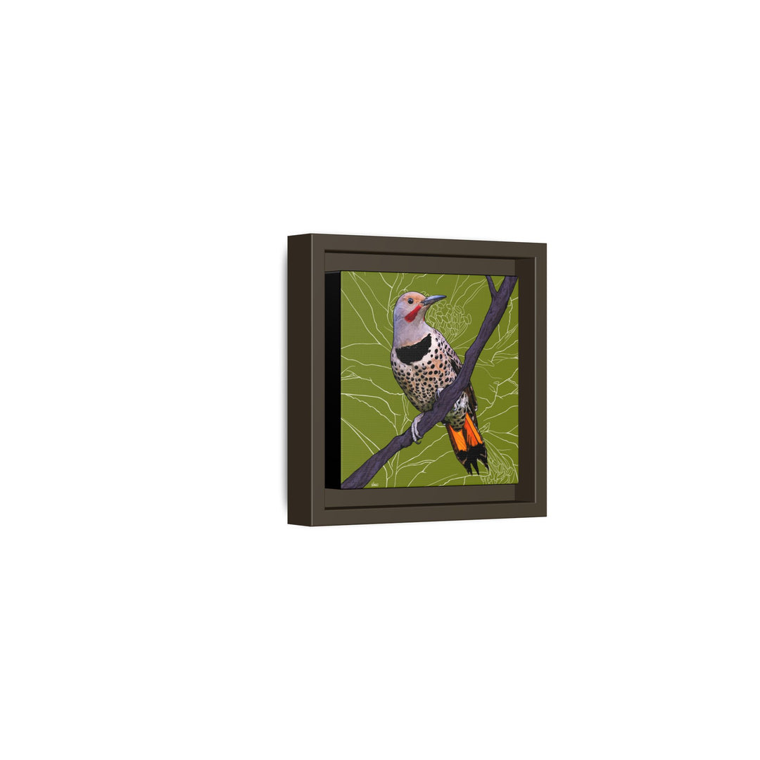 Northern Flicker (Yellowhammer): Alabama State Bird: — Framed Canvas Print Wall Art