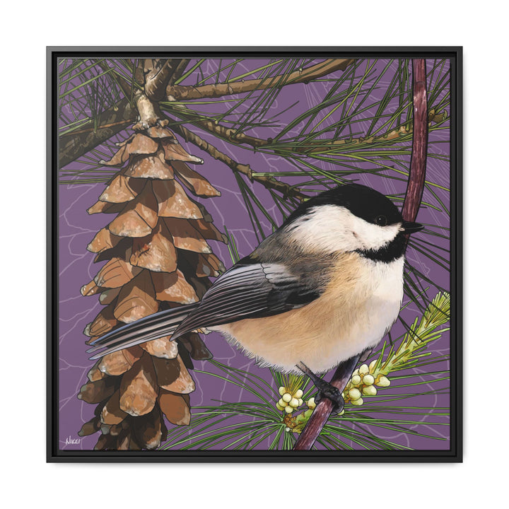 Black-capped Chickadee: Maine State Bird — Framed Canvas Print