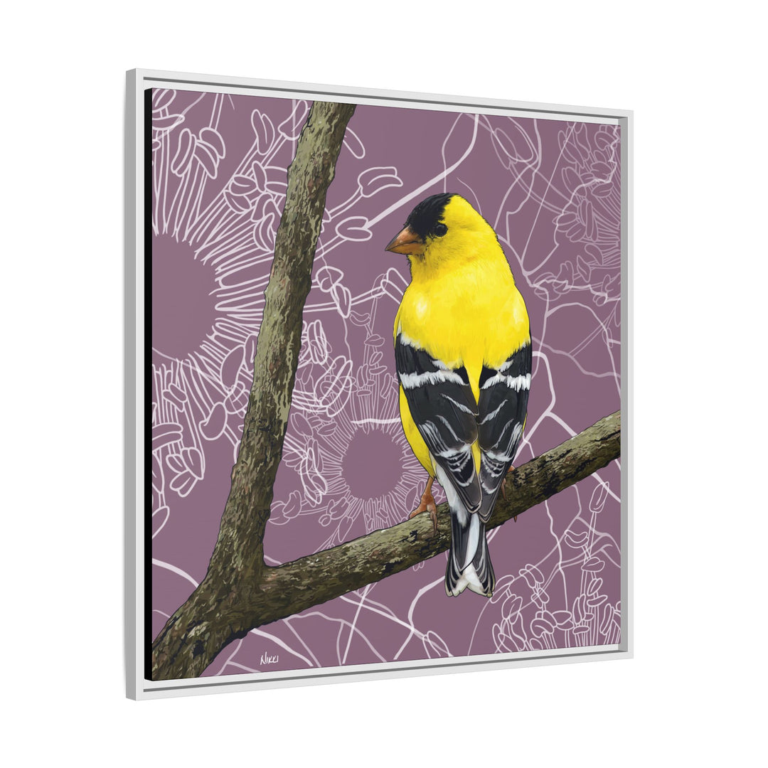 Goldfinch: Washington State Bird — Framed Canvas Print Wall Art