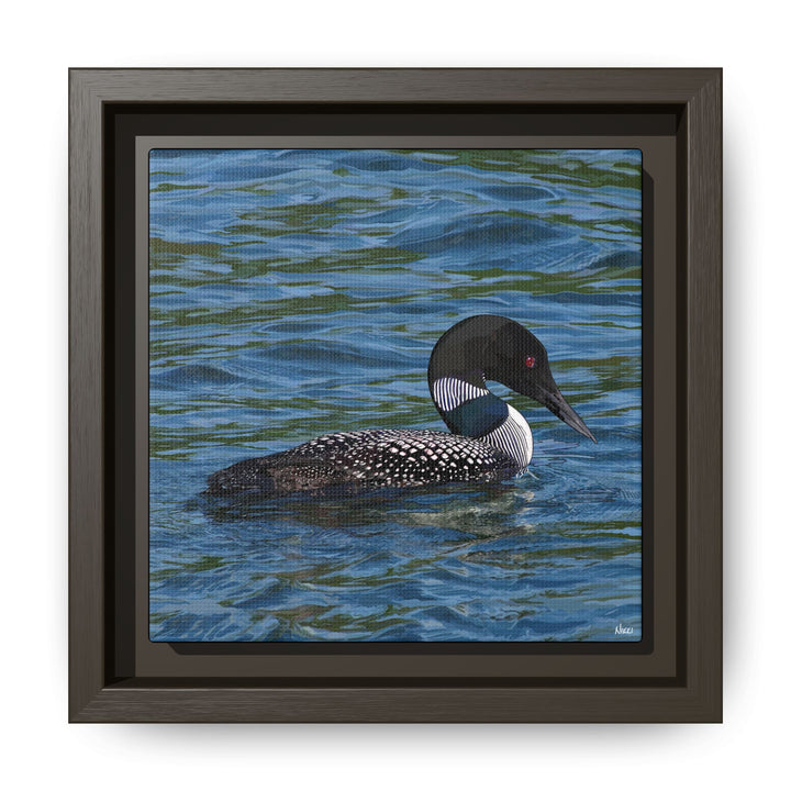 Common Loon: Minnesota State Bird — Framed Canvas Print Wall Art