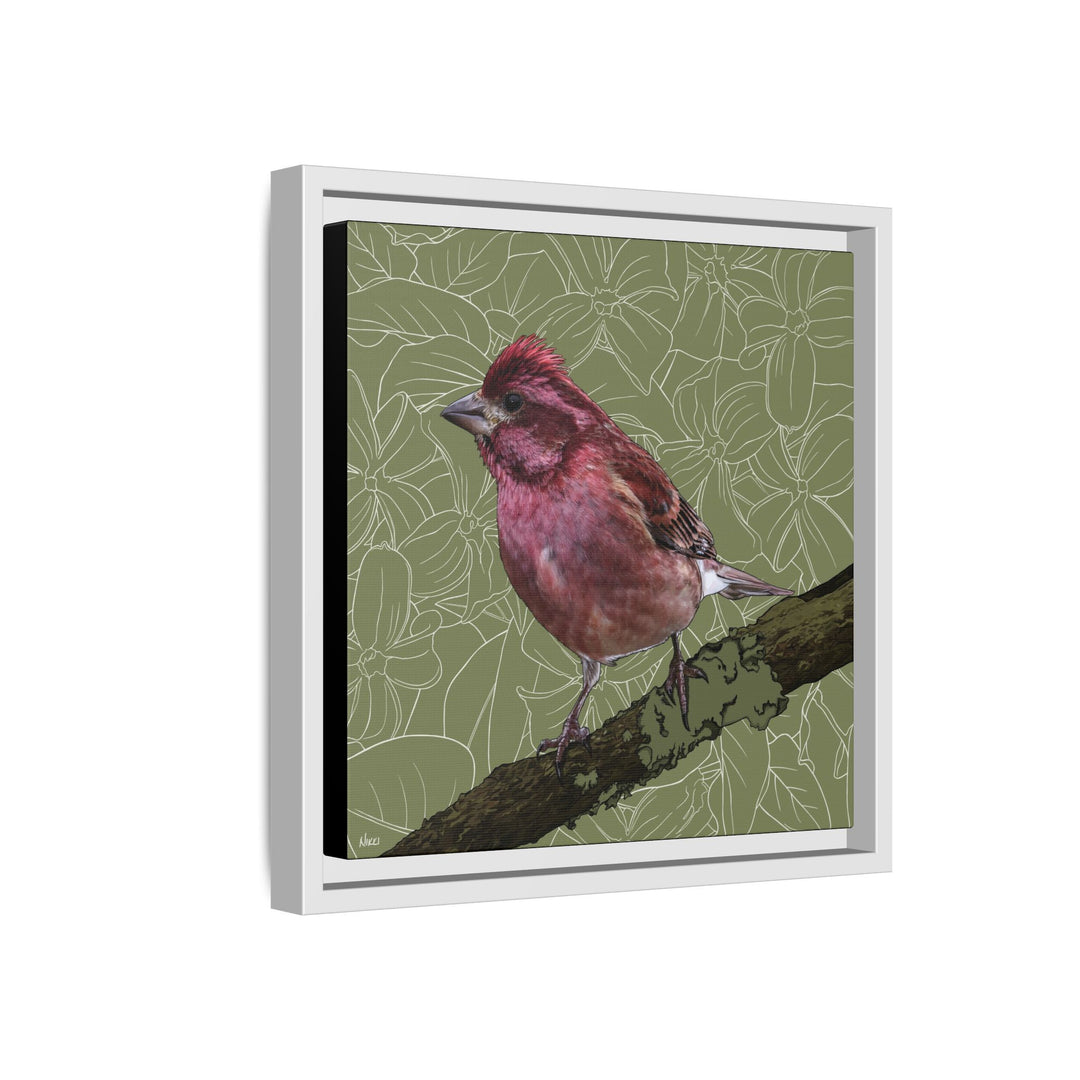 Purple Finch: New Hampshire State Bird — Framed Canvas Print Wall Art