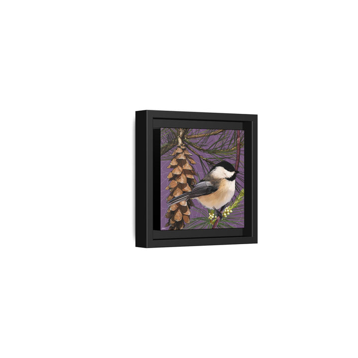 Black-capped Chickadee: Maine State Bird — Framed Canvas Print