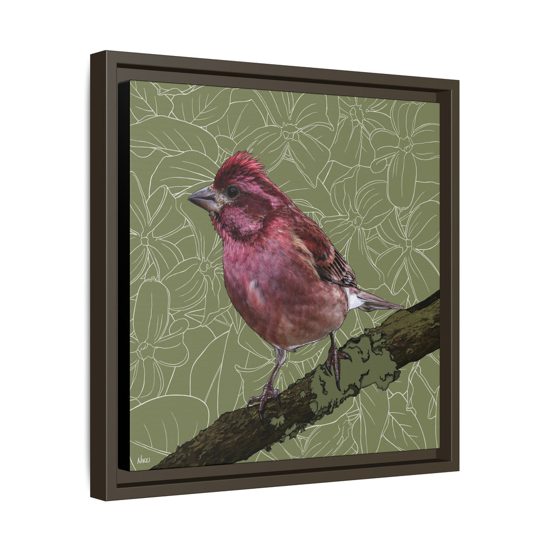 Purple Finch: New Hampshire State Bird — Framed Canvas Print Wall Art
