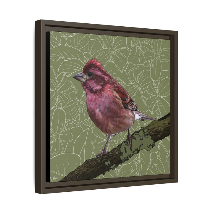 Purple Finch: New Hampshire State Bird — Framed Canvas Print Wall Art