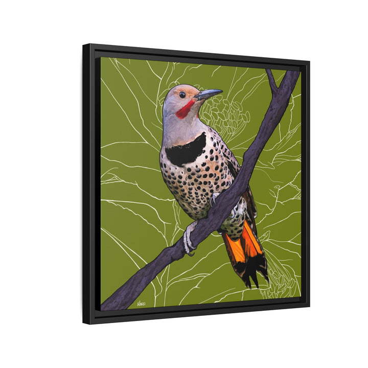 Northern Flicker (Yellowhammer): Alabama State Bird: — Framed Canvas Print Wall Art