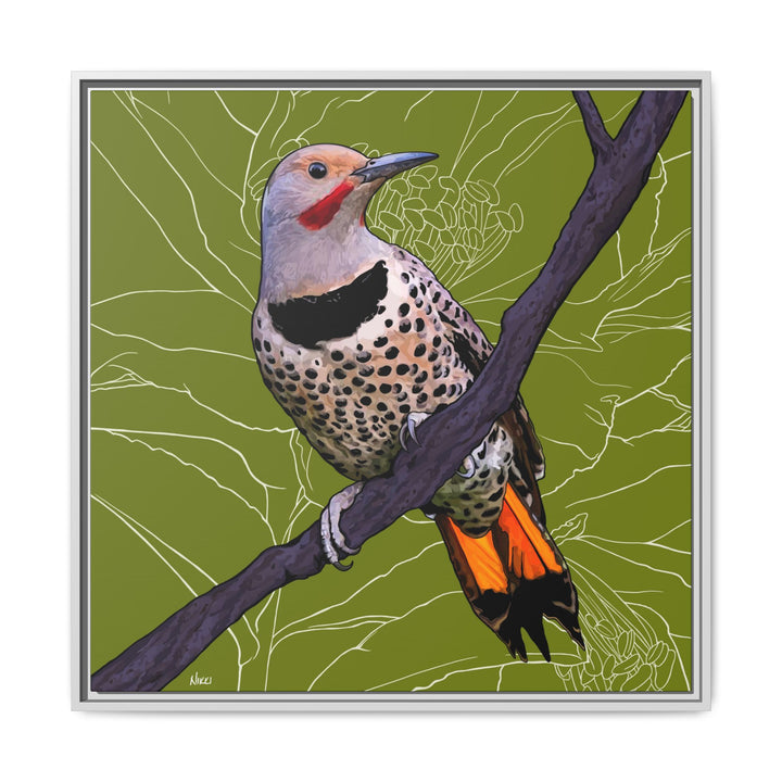 Northern Flicker (Yellowhammer): Alabama State Bird: — Framed Canvas Print Wall Art