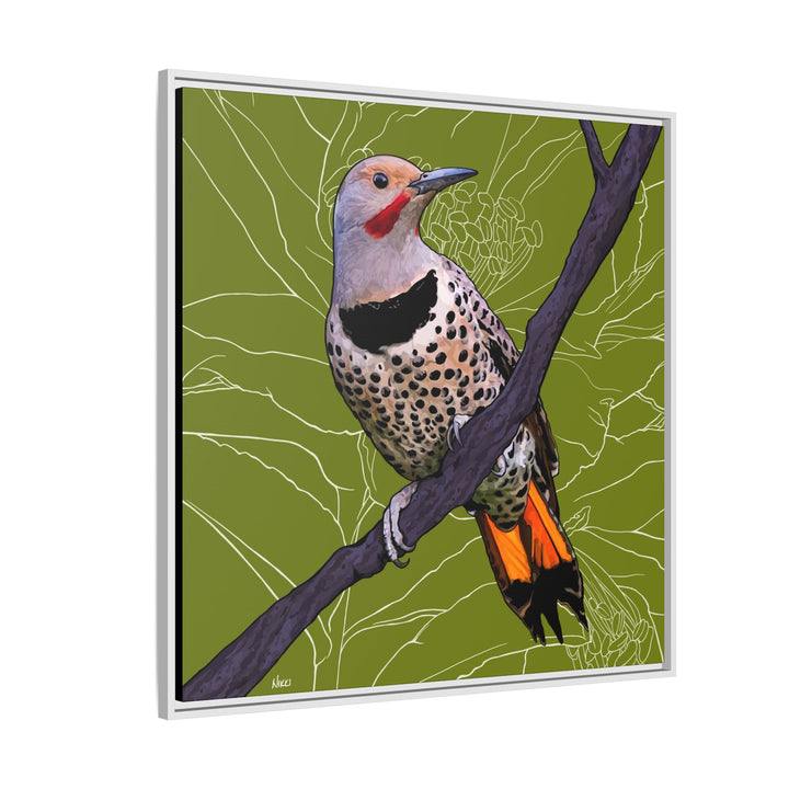 Northern Flicker (Yellowhammer): Alabama State Bird: — Framed Canvas Print Wall Art