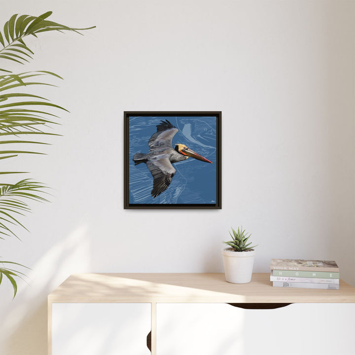 Brown Pelican: Louisiana State Bird  —  Framed Canvas Print