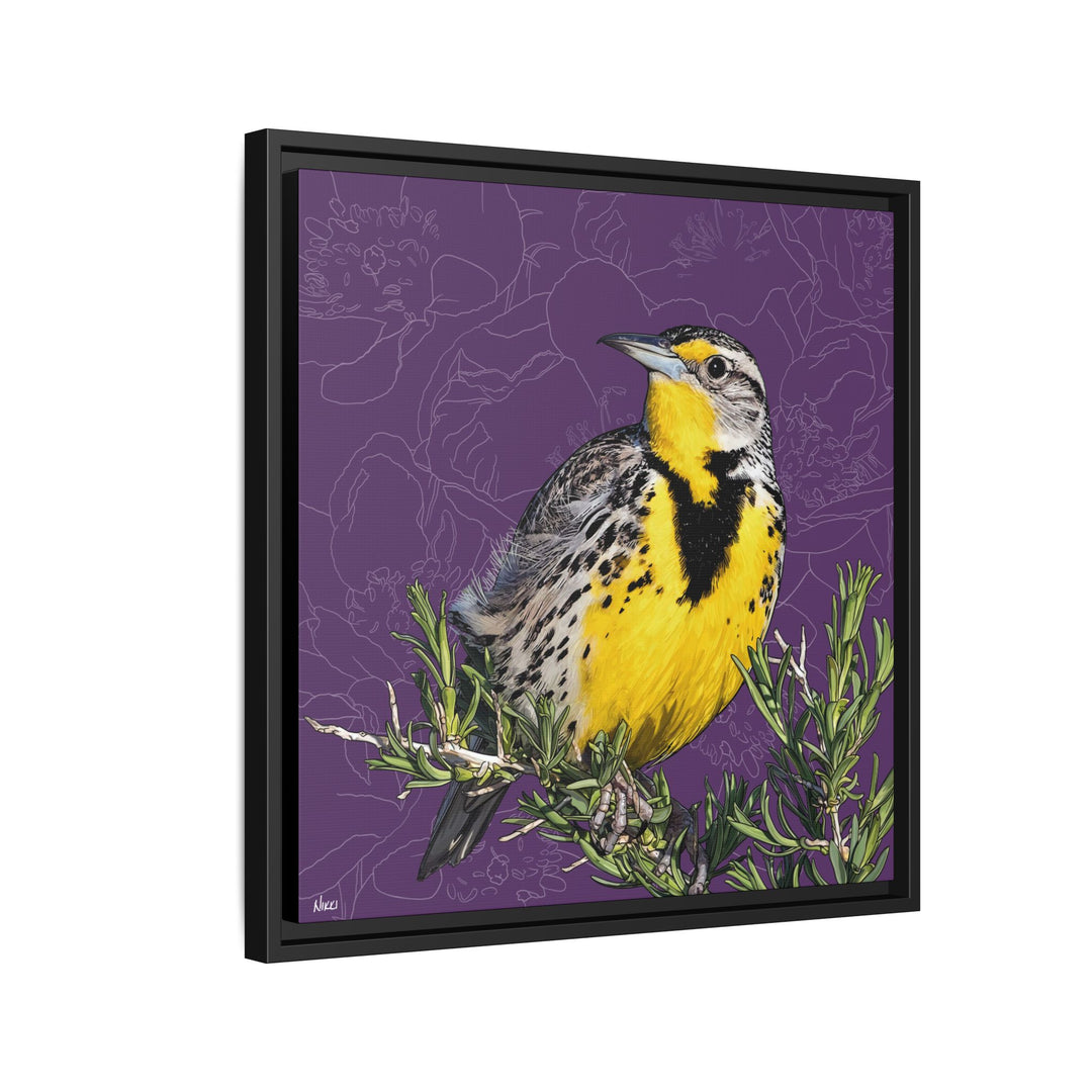 Western Meadowlark: North Dakota State Bird — Framed Canvas Print