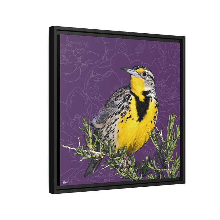 Western Meadowlark: North Dakota State Bird — Framed Canvas Print