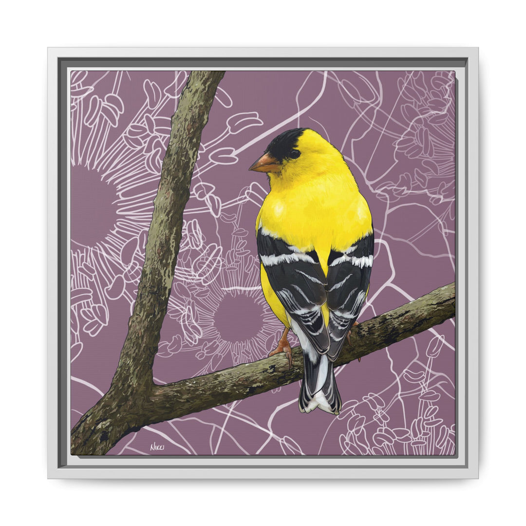Goldfinch: Washington State Bird — Framed Canvas Print Wall Art