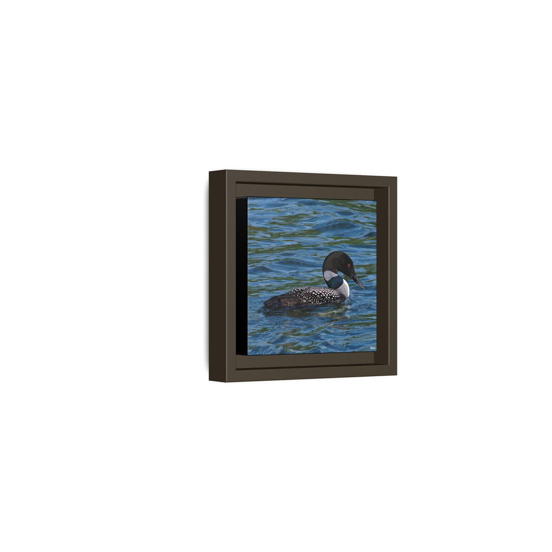 Common Loon: Minnesota State Bird — Framed Canvas Print Wall Art