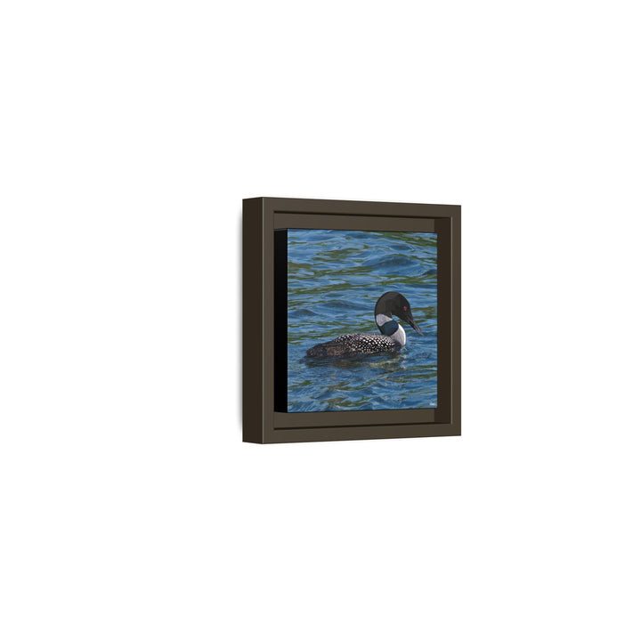 Common Loon: Minnesota State Bird — Framed Canvas Print Wall Art