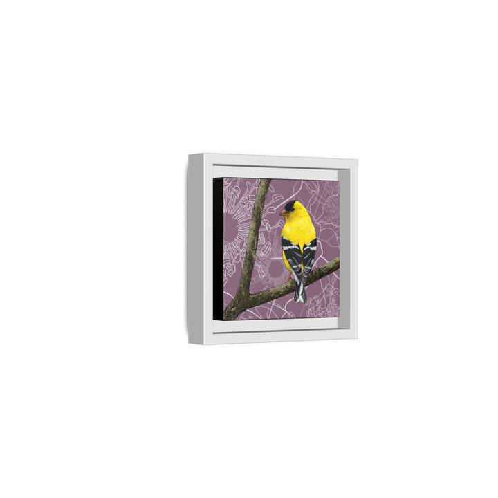 Goldfinch: Washington State Bird — Framed Canvas Print Wall Art